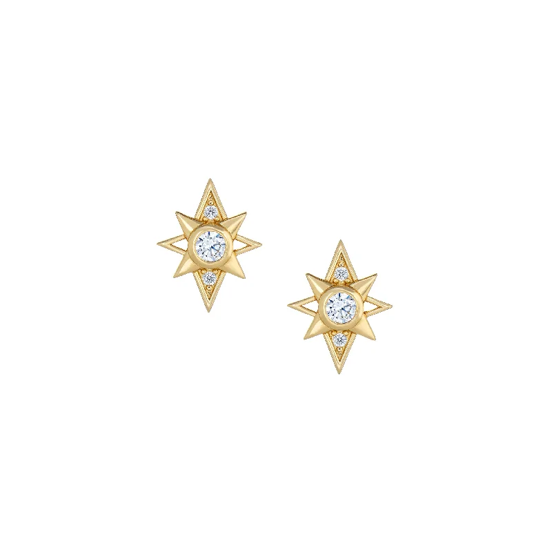 Lily design earrings-Stardust Studs