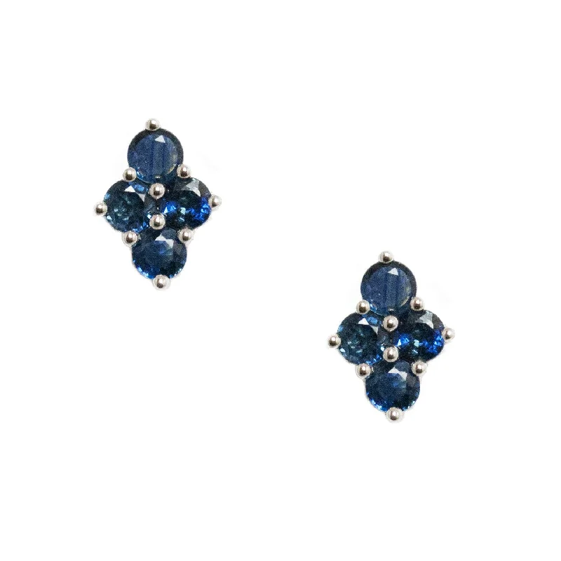 Sleek stud earrings-Asher Studs Silver Sapphire