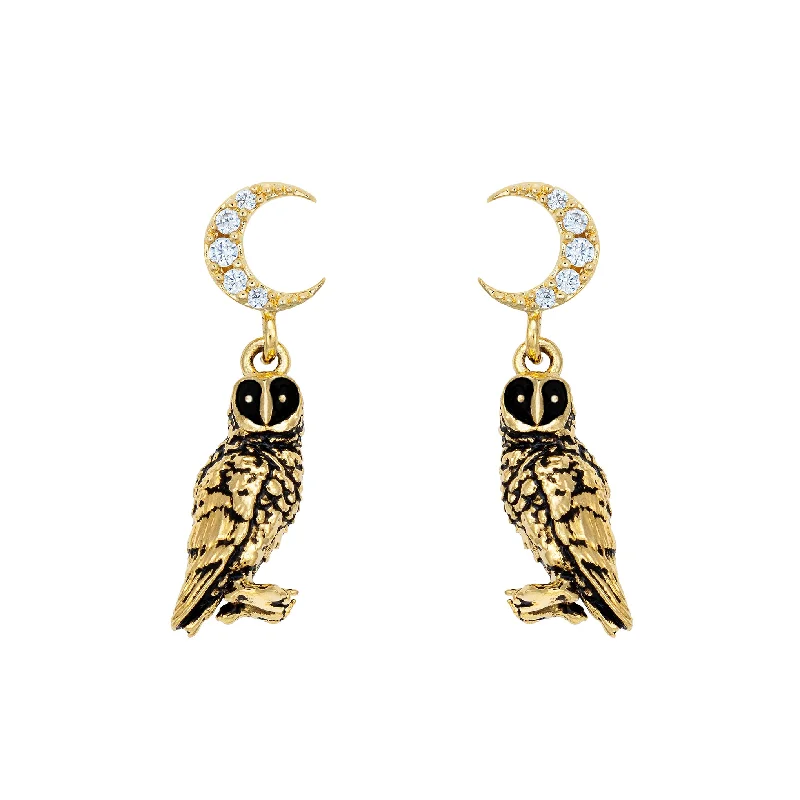 Worn medallion earrings-Night Owl Earrings